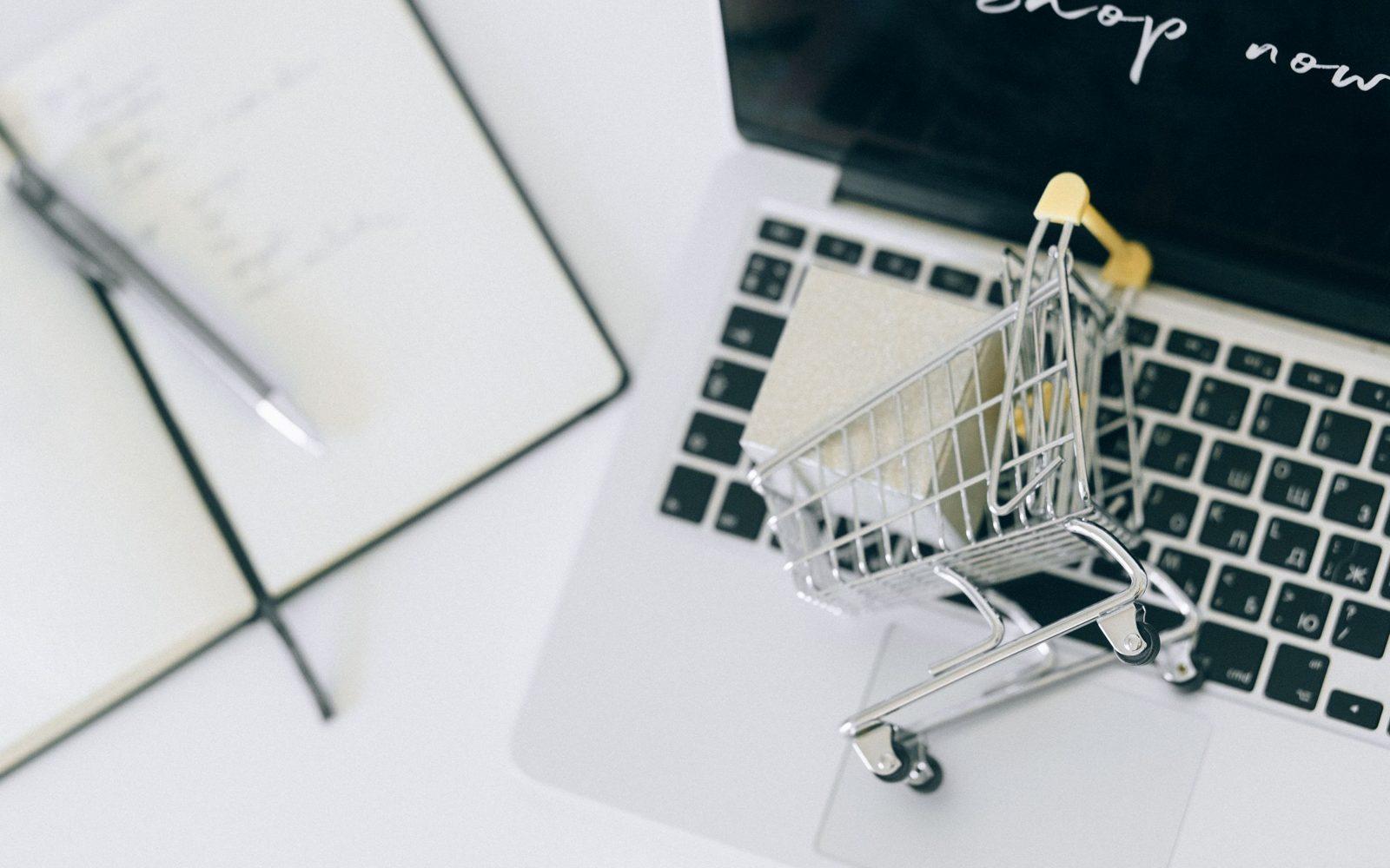 Influencer Marketing for an Online Shop: From Parcel to Order